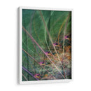 Vectores De Humedales Ii - James Burghardt | Cuadro decorativo de Canvas Lab