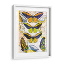 Mapa De Mariposa I - John Butler | Cuadro decorativo de Canvas Lab