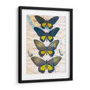 Mapa De Mariposa Ii - John Butler | Cuadro decorativo de Canvas Lab