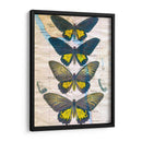 Mapa De Mariposa Ii - John Butler | Cuadro decorativo de Canvas Lab