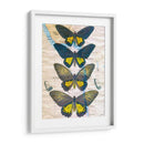 Mapa De Mariposa Ii - John Butler | Cuadro decorativo de Canvas Lab