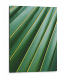 Detalle de hoja | Cuadro decorativo de Canvas Lab