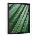 Detalle de hoja | Cuadro decorativo de Canvas Lab