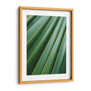 Detalle de hoja | Cuadro decorativo de Canvas Lab