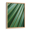 Detalle de hoja | Cuadro decorativo de Canvas Lab