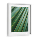 Detalle de hoja | Cuadro decorativo de Canvas Lab