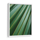 Detalle de hoja | Cuadro decorativo de Canvas Lab