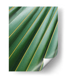 Detalle de hoja | Cuadro decorativo de Canvas Lab