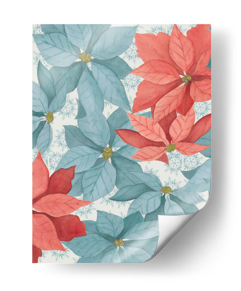 Poinsettia De Navidad I - Grace Popp | Cuadro decorativo de Canvas Lab