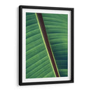 Diagonal de una hoja | Cuadro decorativo de Canvas Lab