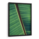 Diagonal de una hoja | Cuadro decorativo de Canvas Lab