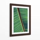 Diagonal de una hoja | Cuadro decorativo de Canvas Lab