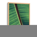 Diagonal de una hoja | Cuadro decorativo de Canvas Lab