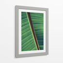 Diagonal de una hoja | Cuadro decorativo de Canvas Lab