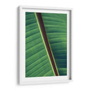 Diagonal de una hoja | Cuadro decorativo de Canvas Lab