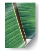 Diagonal de una hoja | Cuadro decorativo de Canvas Lab