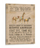 Vintage Circus Iii - Grace Popp | Cuadro decorativo de Canvas Lab