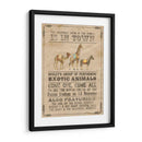 Vintage Circus Iii - Grace Popp | Cuadro decorativo de Canvas Lab