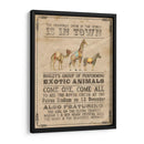 Vintage Circus Iii - Grace Popp | Cuadro decorativo de Canvas Lab