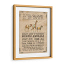 Vintage Circus Iii - Grace Popp | Cuadro decorativo de Canvas Lab