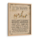 Vintage Circus Iii - Grace Popp | Cuadro decorativo de Canvas Lab