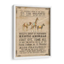 Vintage Circus Iii - Grace Popp | Cuadro decorativo de Canvas Lab