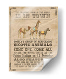 Vintage Circus Iii - Grace Popp | Cuadro decorativo de Canvas Lab