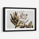 Echeveria terciopelo | Cuadro decorativo de Canvas Lab