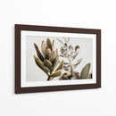 Echeveria terciopelo | Cuadro decorativo de Canvas Lab