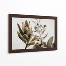 Echeveria terciopelo | Cuadro decorativo de Canvas Lab