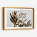 Echeveria terciopelo | Cuadro decorativo de Canvas Lab