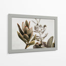 Echeveria terciopelo | Cuadro decorativo de Canvas Lab
