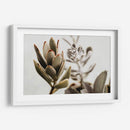 Echeveria terciopelo | Cuadro decorativo de Canvas Lab