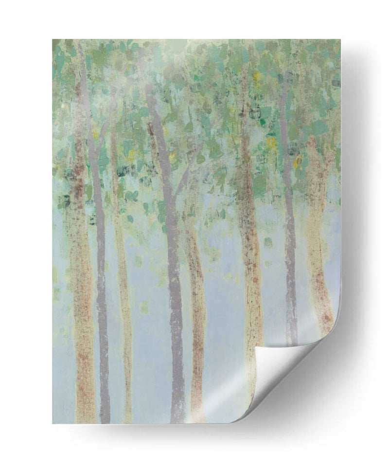 Bosques Nebulosos I - Grace Popp | Cuadro decorativo de Canvas Lab