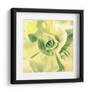 Suculento Yo - Lillian Bell | Cuadro decorativo de Canvas Lab