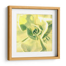 Suculento Yo - Lillian Bell | Cuadro decorativo de Canvas Lab