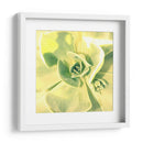 Suculento Yo - Lillian Bell | Cuadro decorativo de Canvas Lab