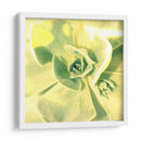 Suculento Yo - Lillian Bell | Cuadro decorativo de Canvas Lab