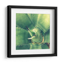 Suculento Ii - Lillian Bell | Cuadro decorativo de Canvas Lab