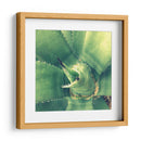 Suculento Ii - Lillian Bell | Cuadro decorativo de Canvas Lab