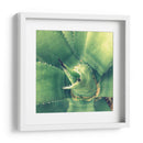Suculento Ii - Lillian Bell | Cuadro decorativo de Canvas Lab