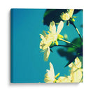 Flor De Verano I - Lillian Bell | Cuadro decorativo de Canvas Lab