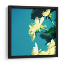 Flor De Verano I - Lillian Bell | Cuadro decorativo de Canvas Lab