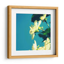 Flor De Verano I - Lillian Bell | Cuadro decorativo de Canvas Lab