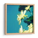 Flor De Verano I - Lillian Bell | Cuadro decorativo de Canvas Lab
