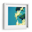 Flor De Verano I - Lillian Bell | Cuadro decorativo de Canvas Lab
