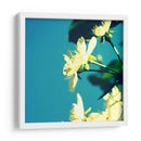 Flor De Verano I - Lillian Bell | Cuadro decorativo de Canvas Lab