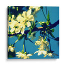 Flor De Verano Ii - Lillian Bell | Cuadro decorativo de Canvas Lab