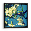 Flor De Verano Ii - Lillian Bell | Cuadro decorativo de Canvas Lab