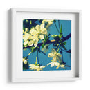 Flor De Verano Ii - Lillian Bell | Cuadro decorativo de Canvas Lab